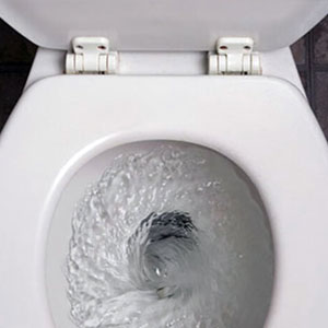 Toiletwhat Happens When You Flush